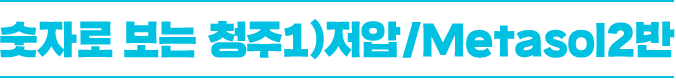 숫자로 보는 청주1)저압/Metasol2반