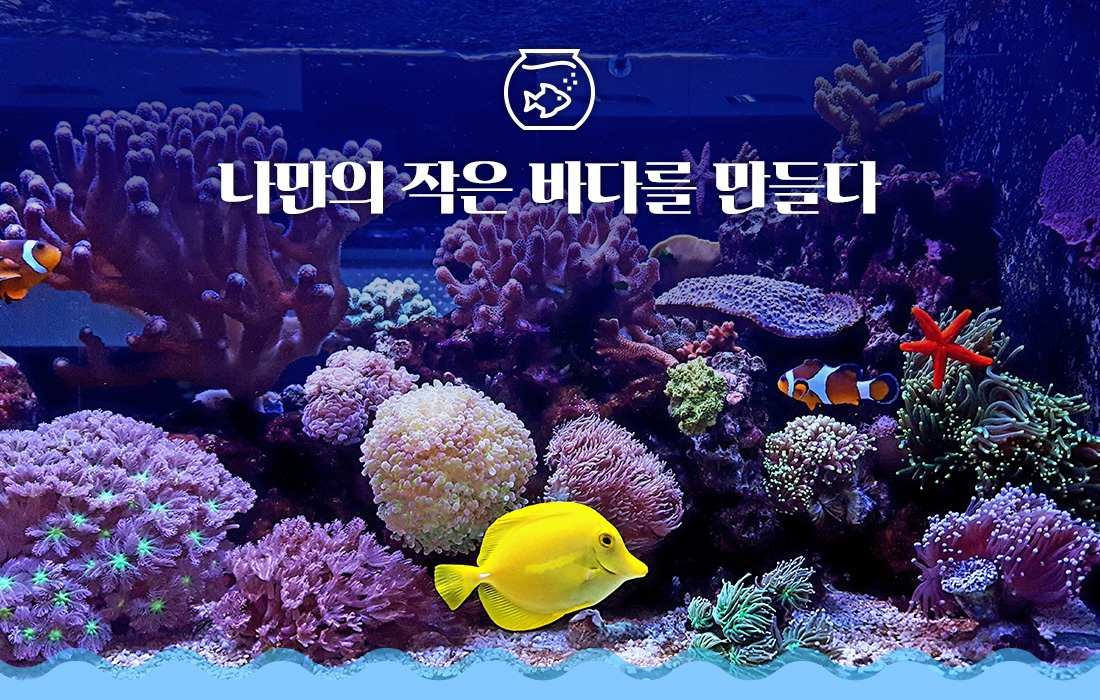 나만의 작은 바다를 만들다