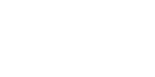 현실을 복제해 미래를 예측하다