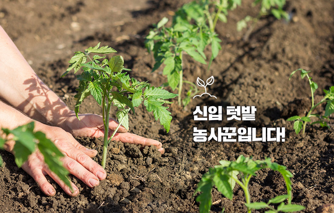 신입 텃밭 농사꾼입니다!