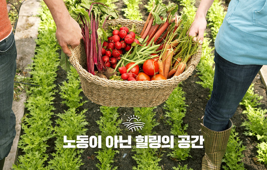 노동이 아닌 힐링의 공간