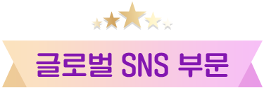 글로벌 SNS 부문