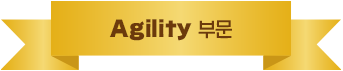 Agility 부문