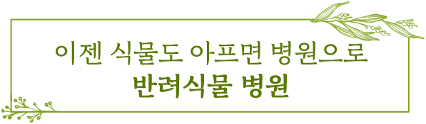 이젠 식물도 아프면 병원으로 반려식물 병원