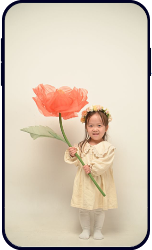 사진