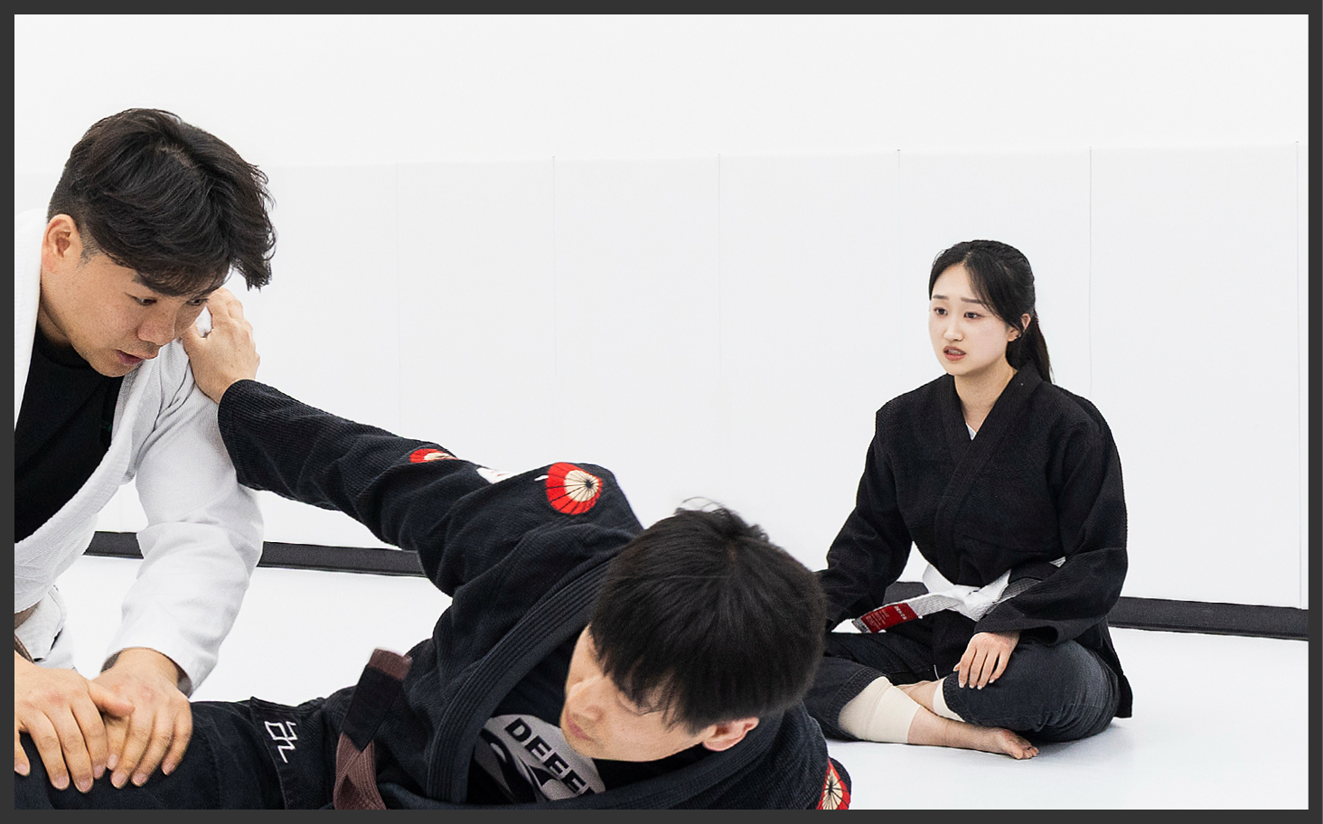 사진