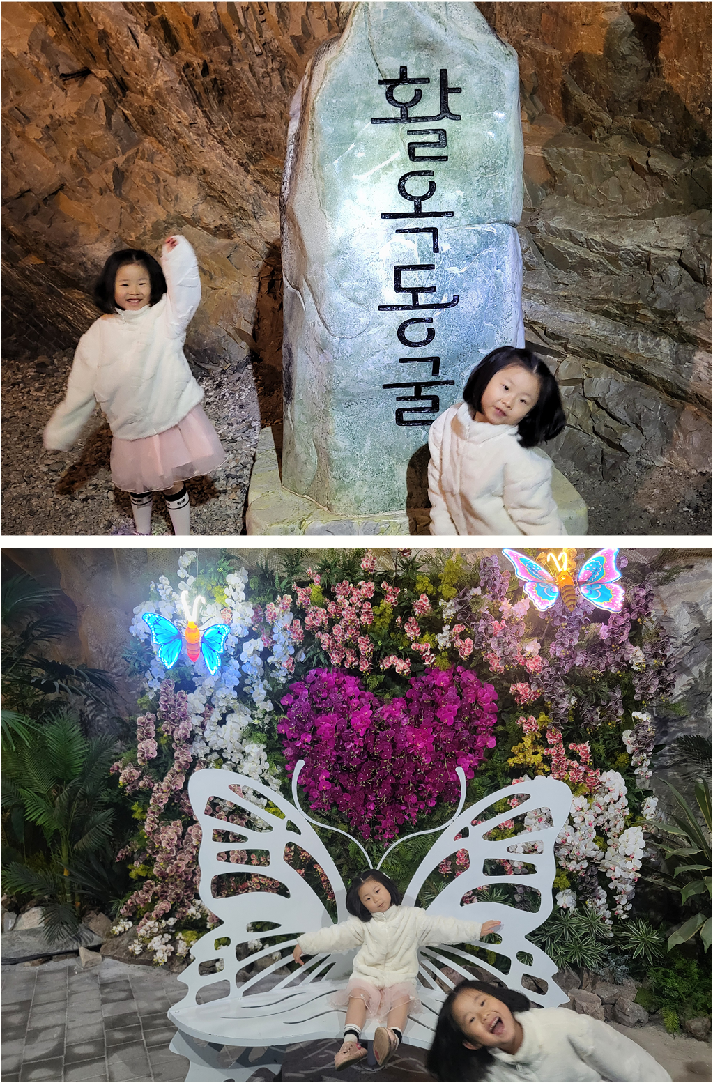 사진