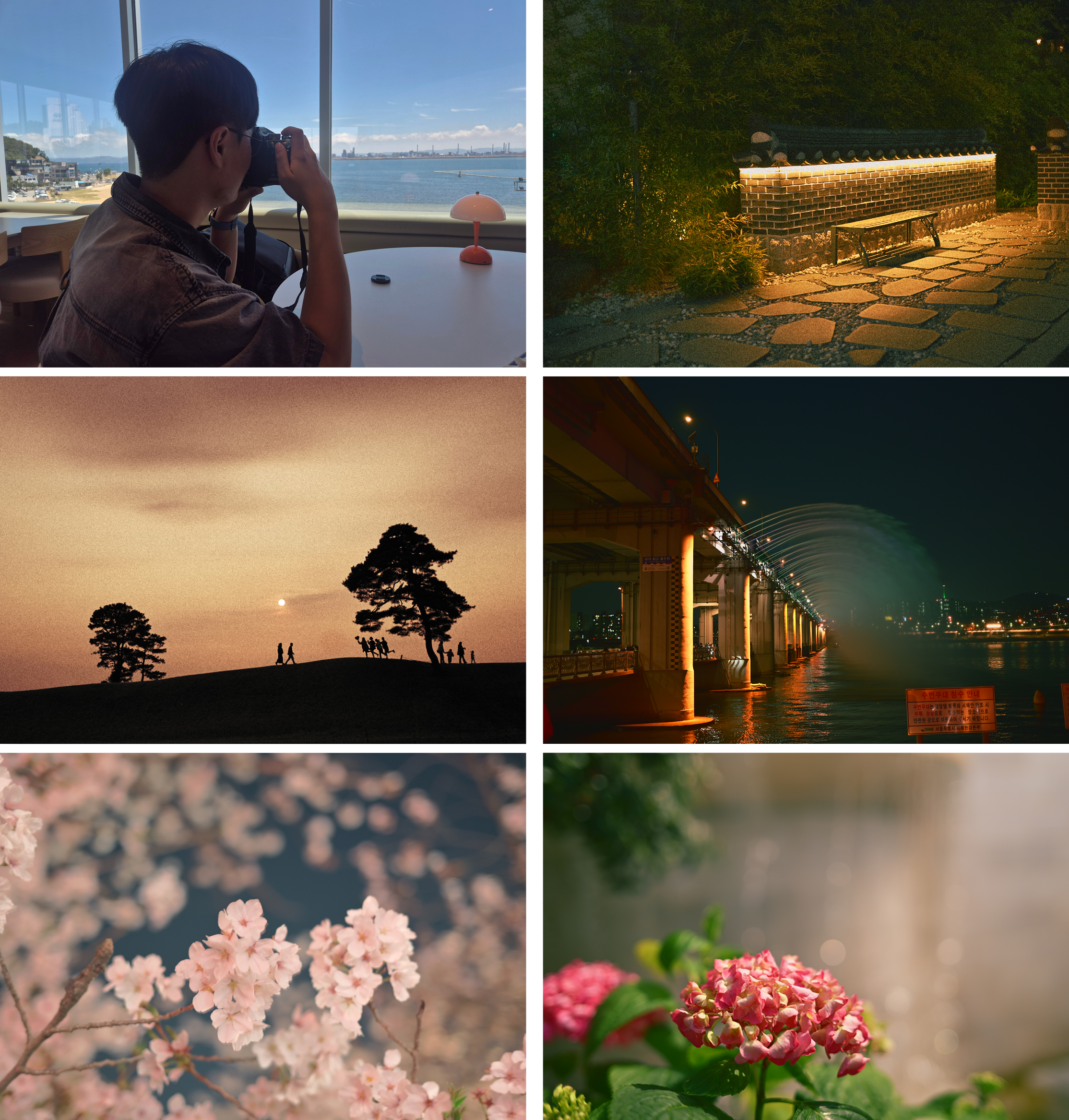 사진
